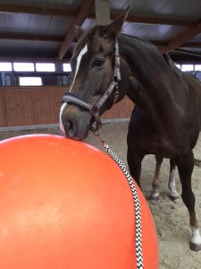 Fiara mit großem Spielball
